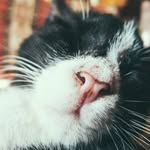 Sandi Street - @sandistreet3474 - Instagram