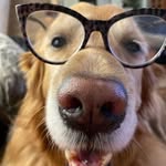Sandi Sweet - @sandisweet11 - Instagram