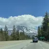 Sandi Taylor - @sandi.taylor35 - TikTok