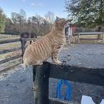 Sandi Terry Everett - Facebook