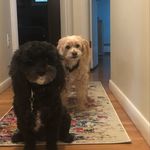 Sandi and Tucker - @sandiandtucker - Instagram