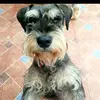 Sandi - @sandivasquez0 - TikTok