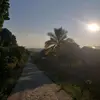 Sandi Vasquez - @sandi.vasquez1 - TikTok