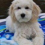 Sandi Wagner - @slwagner59 - Instagram