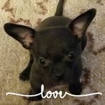 Sandi Wagner - @sandra.wagner04 - Instagram