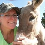 Sandi Walker - @sandiwalker2052 - Instagram