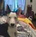 Sandi Wall - Facebook