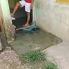 sandi wall - @sandi.wall0 - TikTok