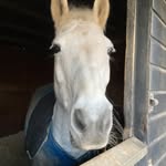 Sandi Walters - @sandiwalters_ - Instagram