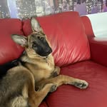 Sandi Waters-Lewis - @sandiwaterslewis - Instagram