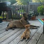 Sandi Durr Weber - @durrgirl3 - Instagram