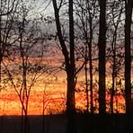 Sandi Weber - Facebook