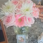 Sandi Weber Adamowicz - @sandiweberadamowicz - Instagram