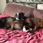 Sandi Webster - @s.web4 - Instagram