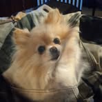 Sandi Wells - Facebook