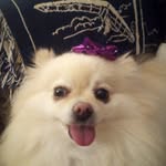 Sandi Wells - @donutlady63 - Instagram