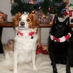 Sandi Wells - @blondieandmaddog - Instagram