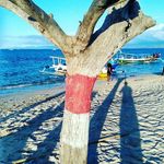 sandi west - @west.sandi - Instagram