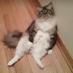Sandi Wilcox - @slwilx - Instagram