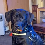 Sandi Williamson - Facebook