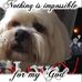 Sandi Willis - Facebook