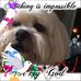 Sandi Willis - Facebook