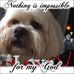 Sandi Willis - Facebook