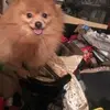 sandiwillis138 - @sandiwillis138 - TikTok