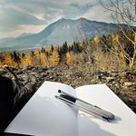 Sandi Winter's Art - @sandi_whimsicalart - Instagram