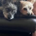 Sandi Wolf - Facebook