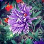 Sandi Woods - @sandiwoods57 - Instagram