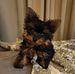 Sandi Young - Facebook