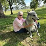 Sandi Young-Shaffer - @sandi_lshaffer - Instagram