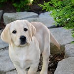 Sandie M. - @sandie.murphy2024 - Instagram