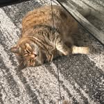 Sandie Murphy - @3old3cookie - Instagram