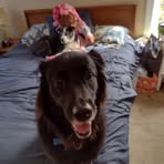Sandie Simpson - Facebook