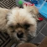 Sandy Simpson - @sandy.simpson.102 - Instagram