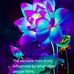 Sandie Smith - Facebook