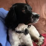 Sandie Thomas Rowe - @sandierowe62 - Instagram