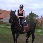 Sandie Walker - @sandiewalker1btinternet.com_ - Instagram