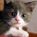 Sandie Webb - Facebook