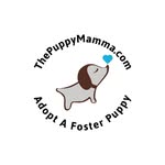 Sandy Webb - @the_puppy_mamma - Instagram