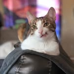 Sandie Wright - @sansa_gingerspicebean - Instagram