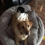 Sandie Wright - @dkoenig05 - Instagram