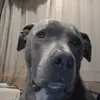 sandiewright77 - @sandiewright77 - TikTok