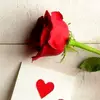 Sandip Ghosh - @sandipghosh066 - TikTok