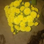 Sandip Nandy - @sandipnandy31 - Instagram