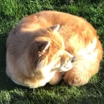 Sandor Balogh - @sandor.balogh1 - Instagram