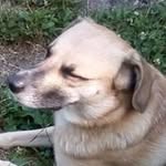 Sandor Balogh - @baloghsandor038 - Instagram