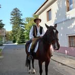 Sándor Timár - Facebook